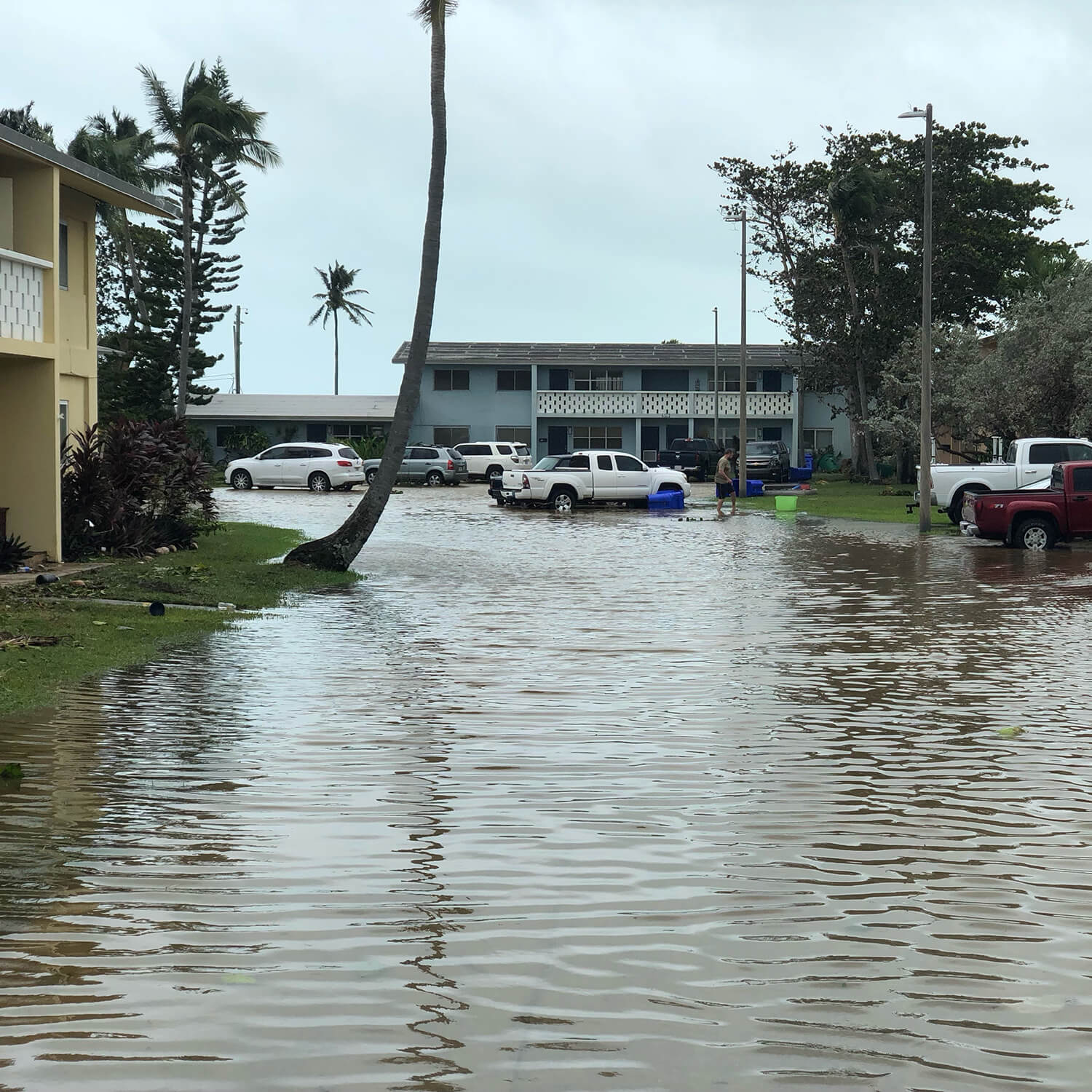 Hurricane Ian Square