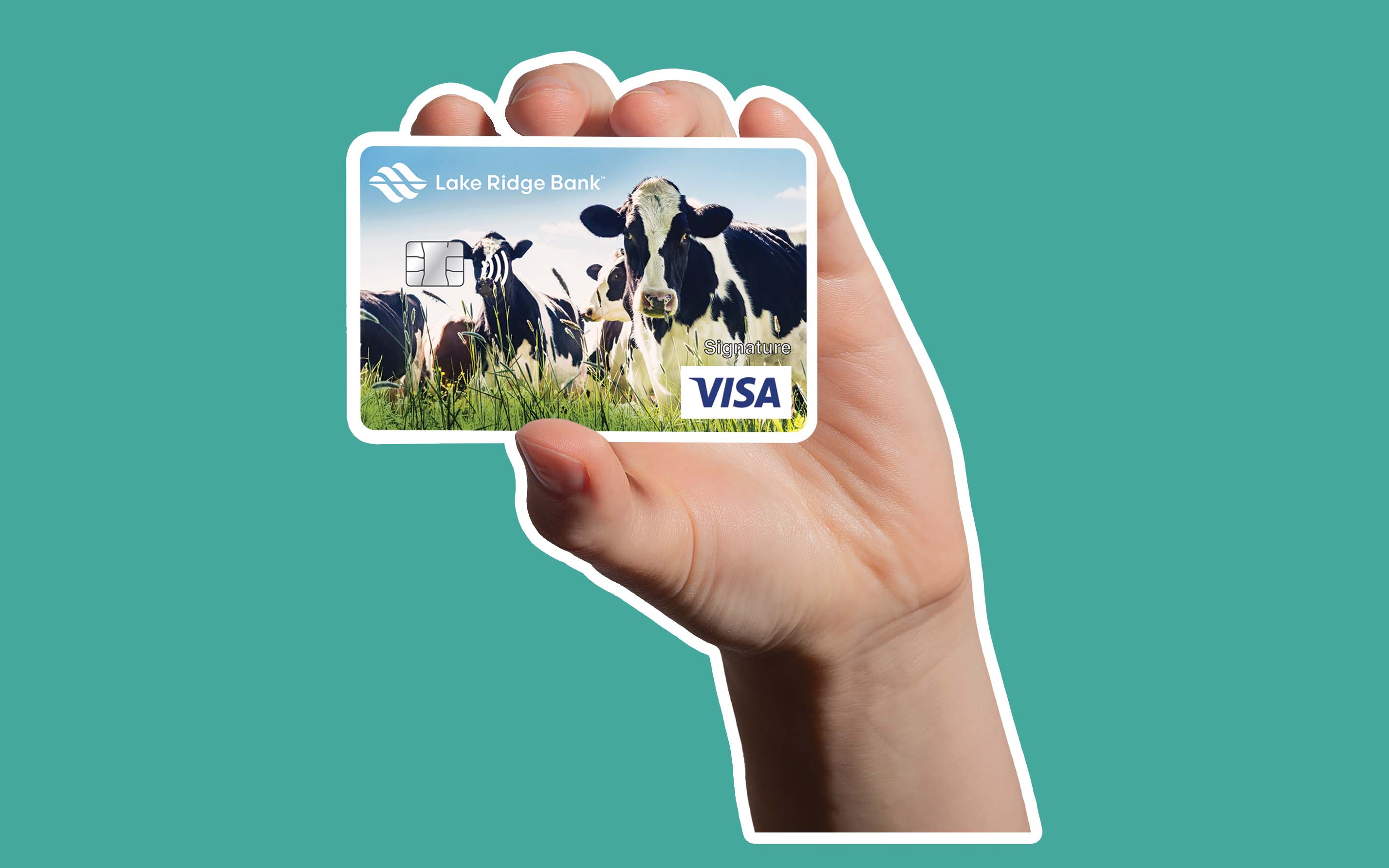 Lake Ridge Bank in Middleton, Wisconsin, can customize credit cards for its small business customers.