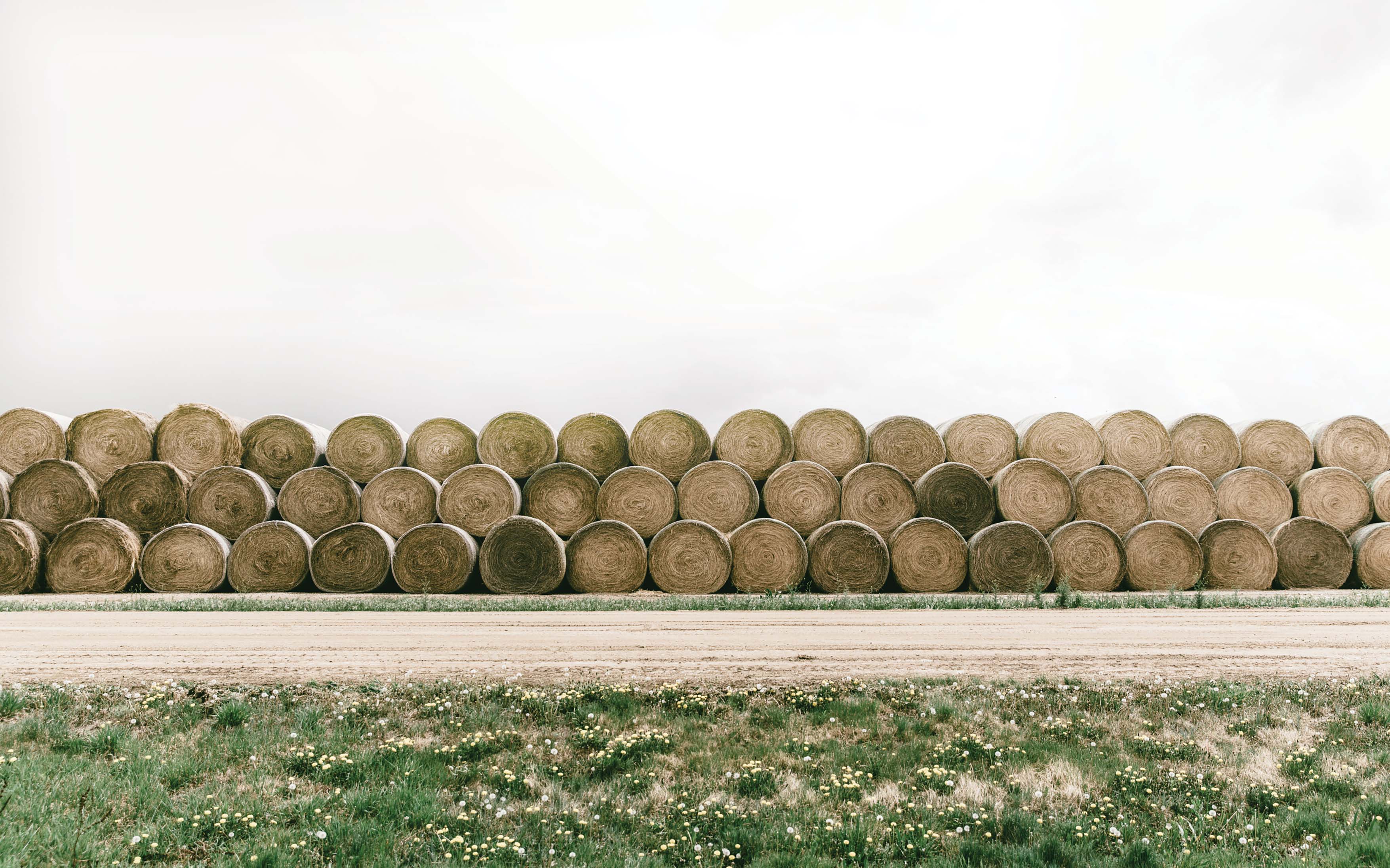 0325 Hay 2k