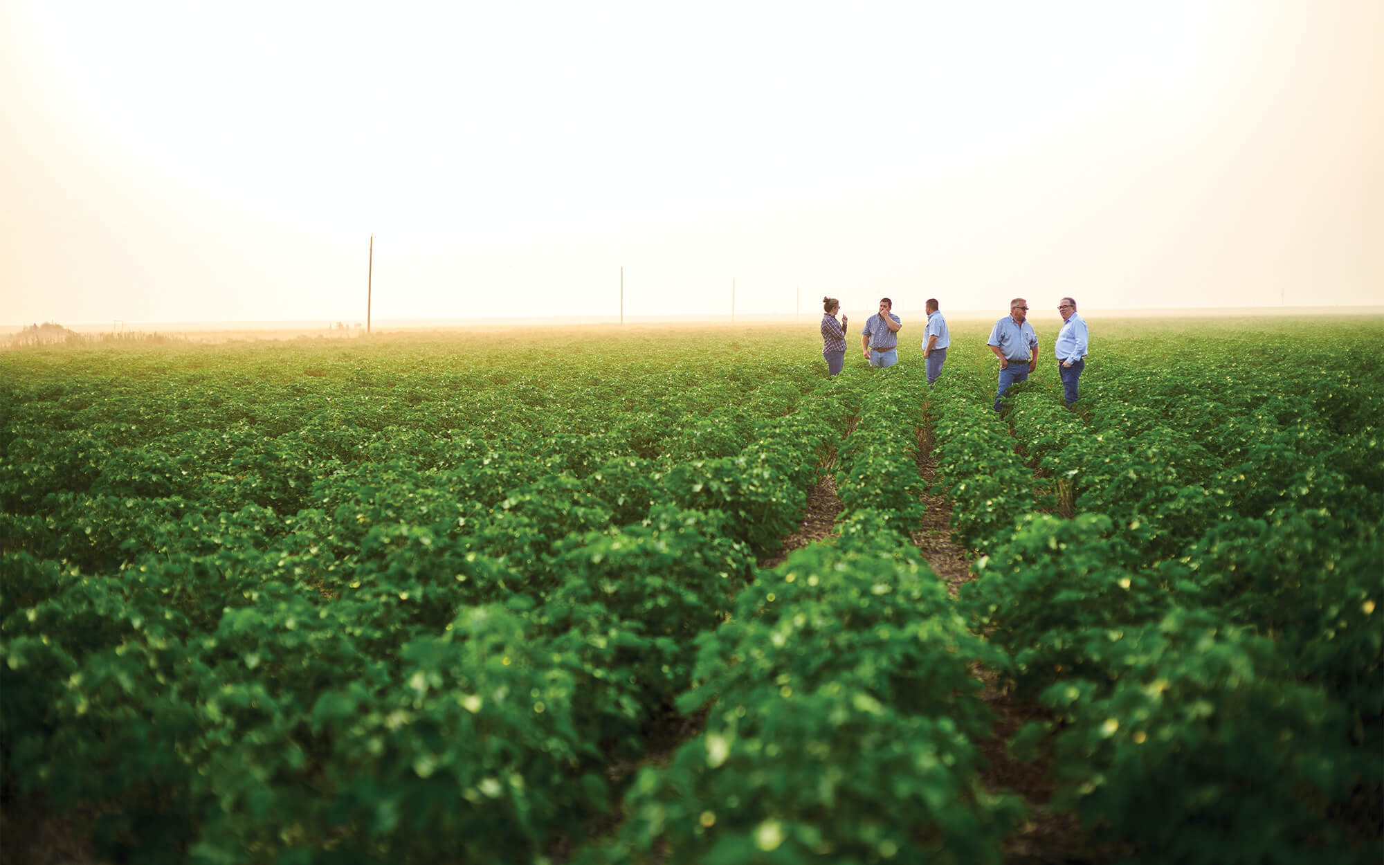 0921 Agriculture Banking 2k