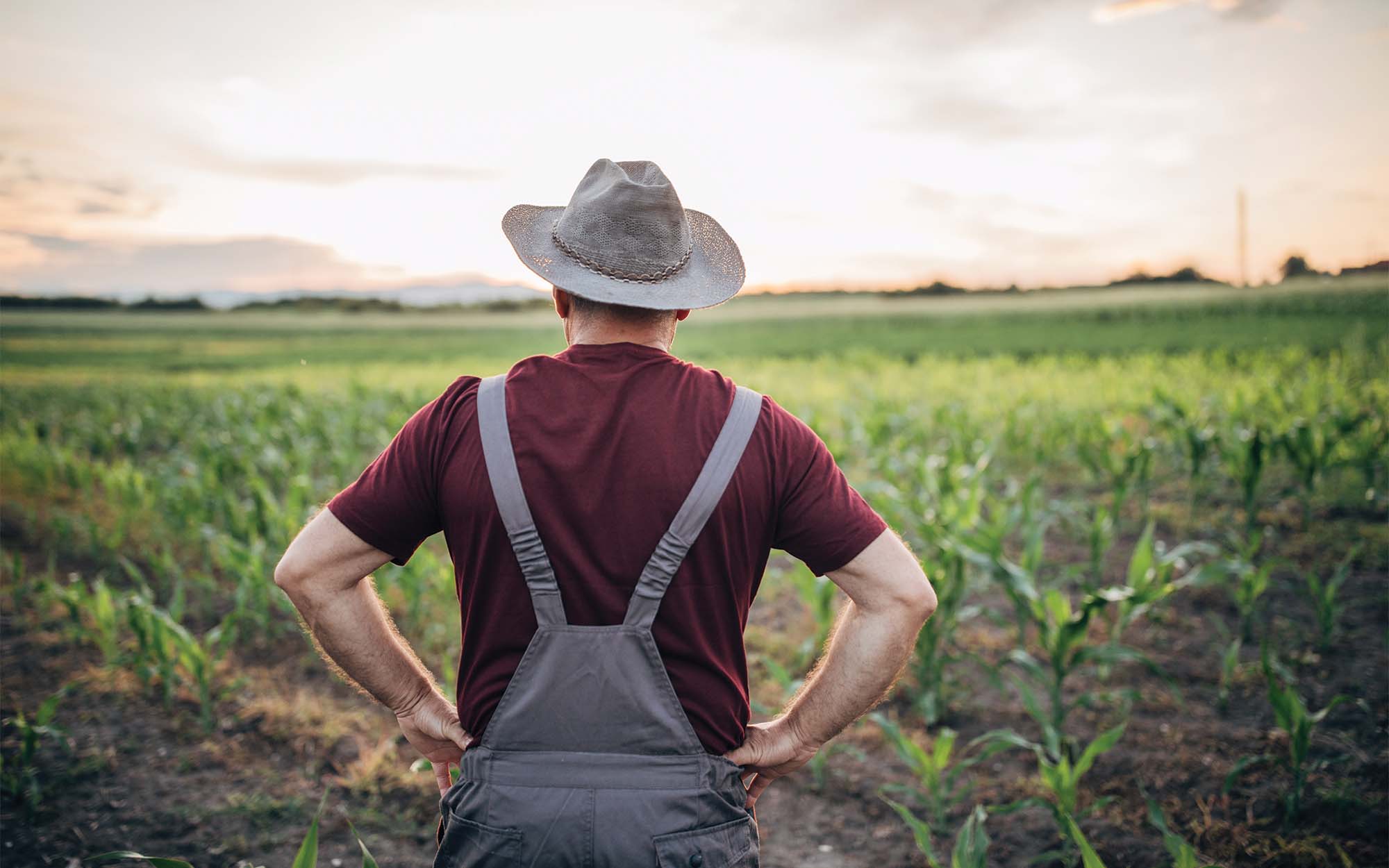 farmer