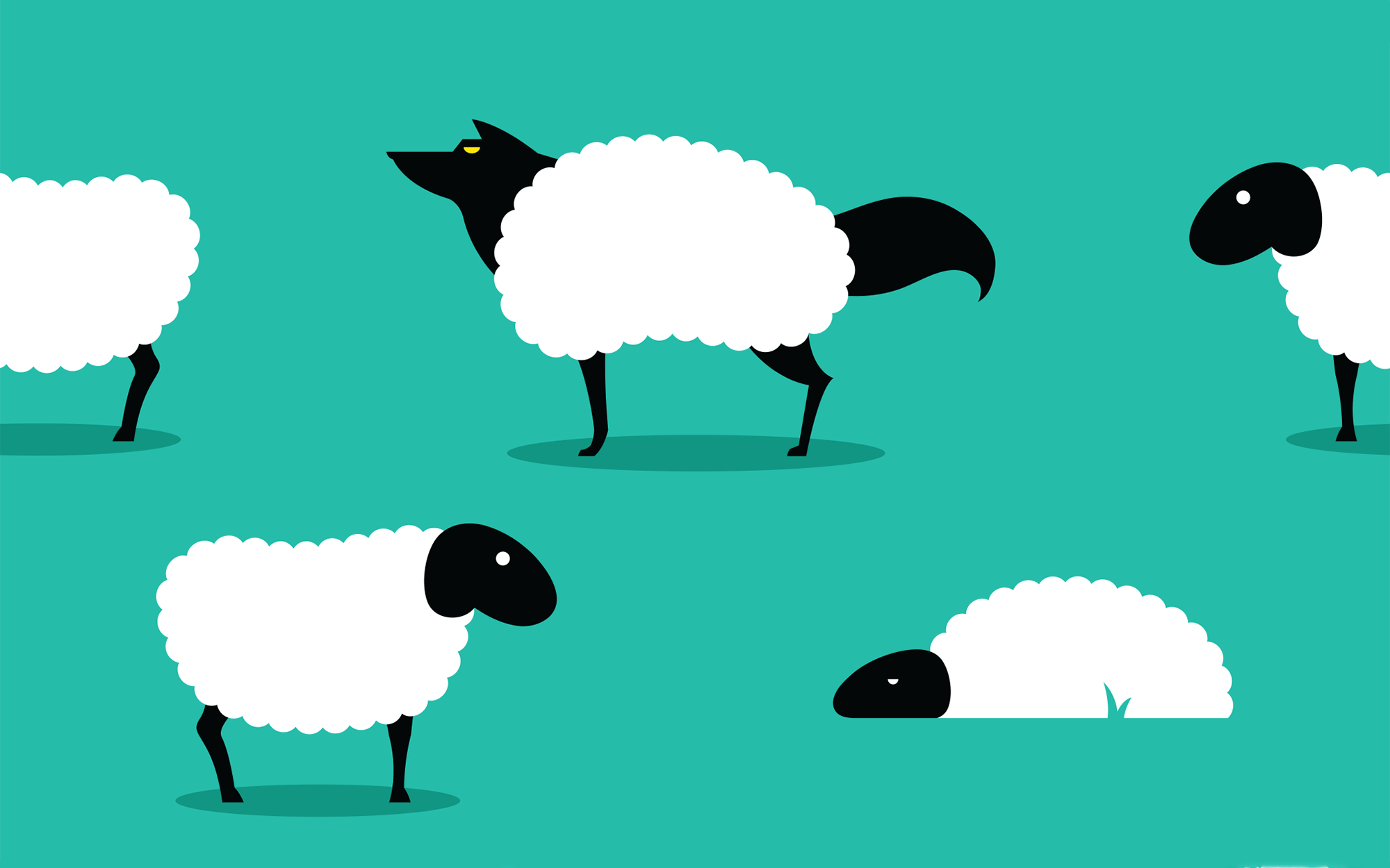 sheep illustration