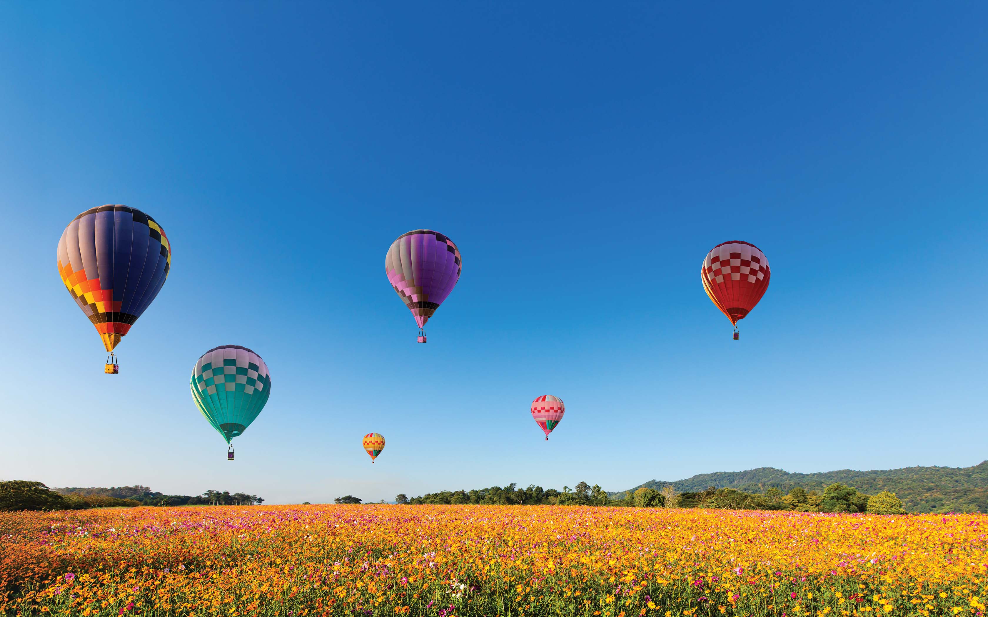 Hot Air Balloon