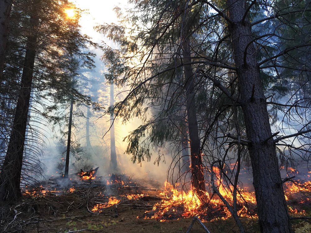 Creek Fire