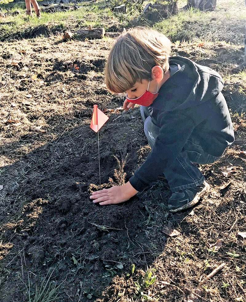 boy planting tree seedling