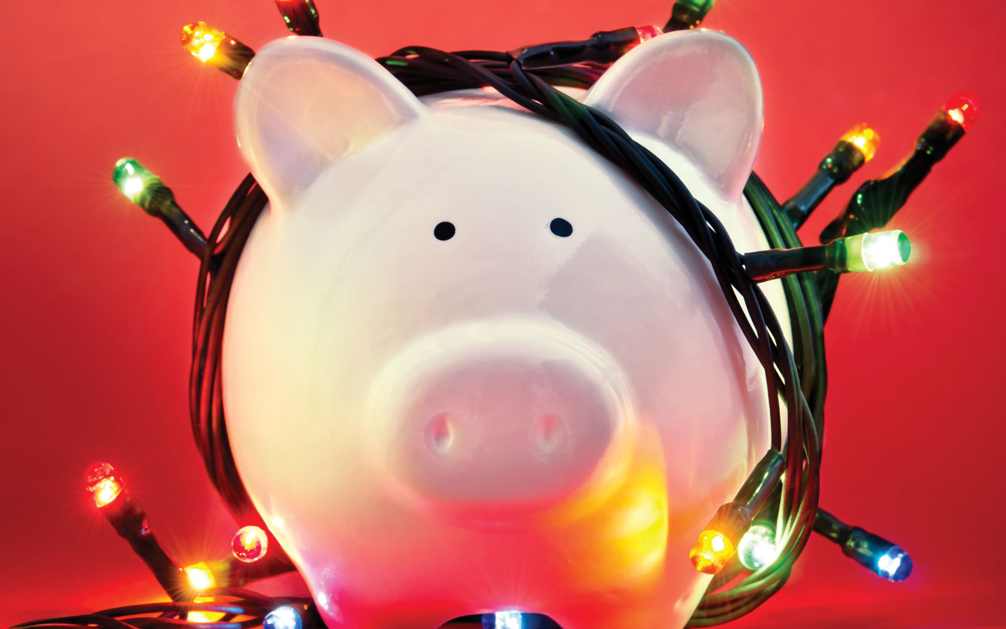 piggy bank with holiday lights